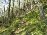 Planina Ravne - Kocbekov dom na Korošici